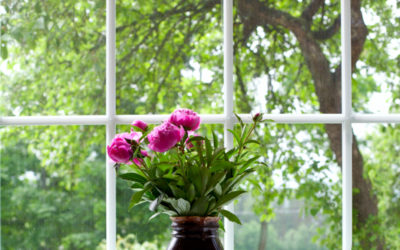 3 Signs It’s Time To Replace Your Windows